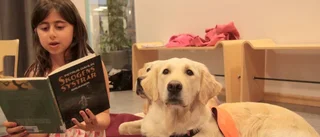 Högläsning för hund