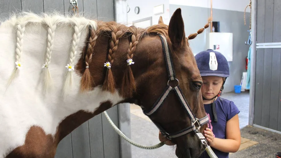 Doris Cratz från Vråka klappar hästen Tiara, som gjorts fin under rykttävlingen.