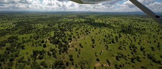 Ska Sverige ut ur Tanzania?
