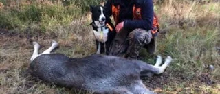Hunden Dio fastnade på tunn is