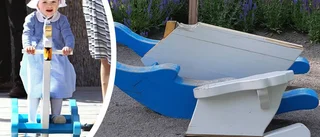 Svanen i Estelles park förstörd