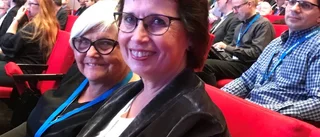 Gudrun främsta krav för länet
