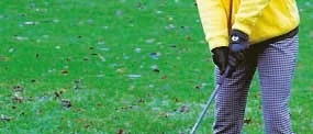 Golfsving mitt i vintern