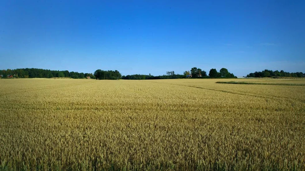 Åkermarken behövs för att förhindra världssvält, skriver Sigvard Henriksson.