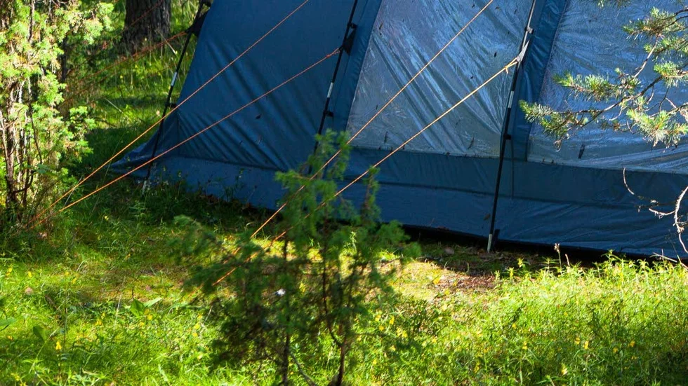 Polisen sökte med hund i skogen och hittade två skadade personer i ett tält.