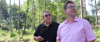 Så många villor kan byggas på berget