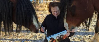 Hon skrev bok om Shirehästar i Horn