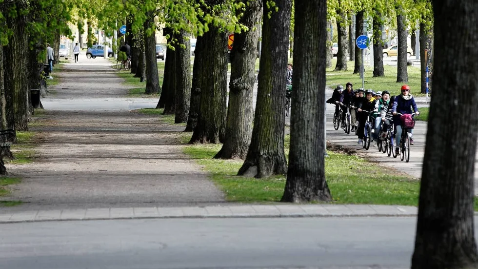 En allé av lindar som inte är i Roma.