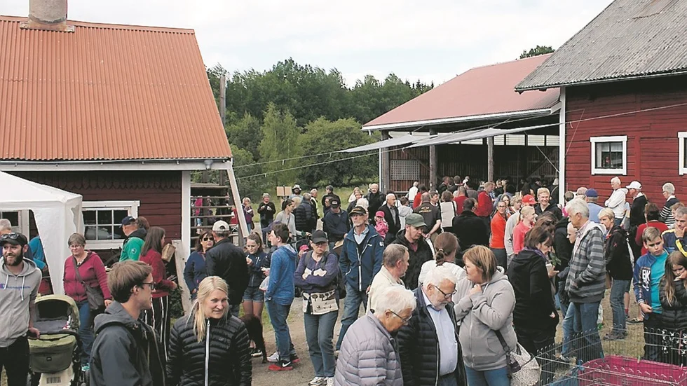Runt 3000 personer dök upp på hönsbytardagen i Österbymo 2018 då bilden togs. Arkivbild.