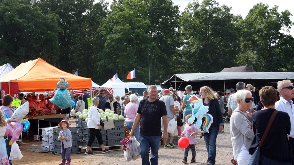 Många letade sig till Hultsfreds marknad för att göra diverse fynd. Foto: Annika Stagård