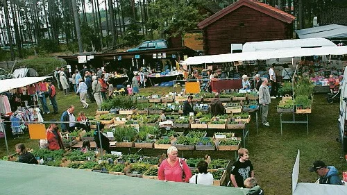 Marknaden i Bellö i går besöktes både av stora och små.  Foto: Rebecca Carlsson