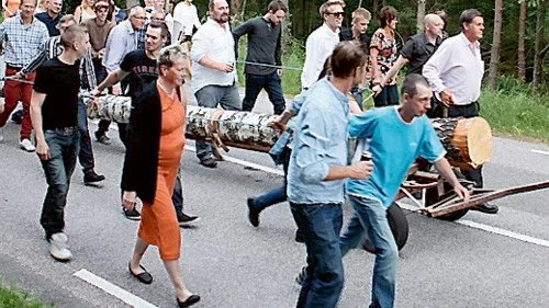 På väg mot lysningfesten med en björk.