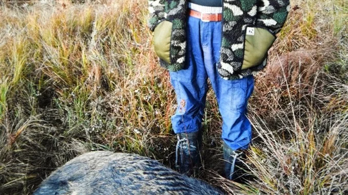 Slutligen efter en kamp på liv och död så vann som tur är jägarna. Foto: Privat foto