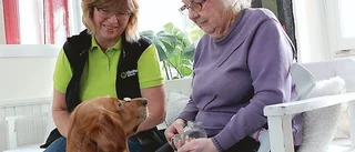 Nira jobbar halvtid - som vårdhund