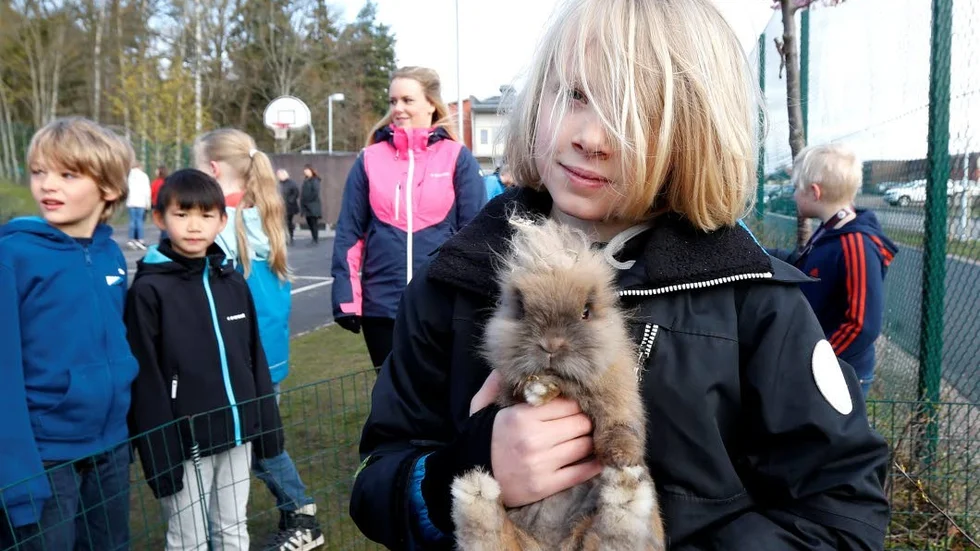Lejonhuvad dvärgkanin. Samuel Sundvall visar sin lilla kanin med det lurviga huvudet.