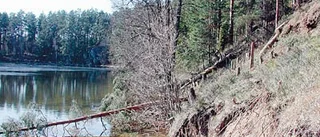 Rivieran rasar