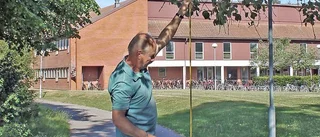 Krockade med gren – bröt nacken