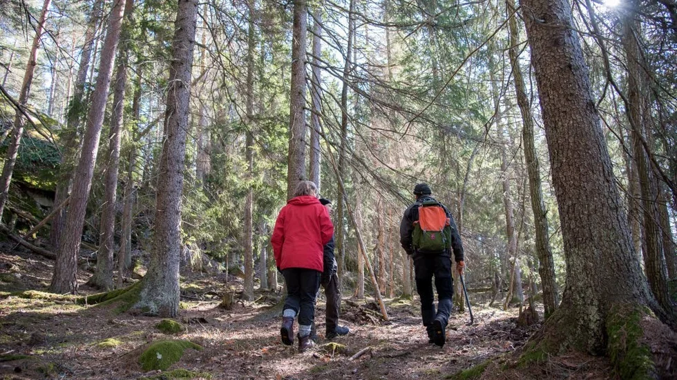 Utveckling. Svenska Ekoturismföreningen har fått pengar för att titta på hur naturturismen på landsbygden ska kunna utvecklas.