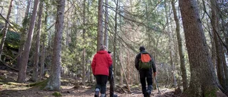 Så ska de utveckla naturturismen