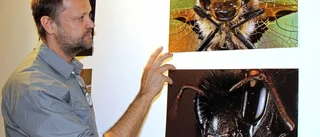 Han har insekterna "Tätt inpå"