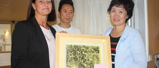 Frå stora Hanoi till lilla Motala