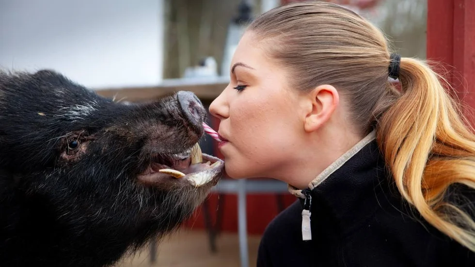 Puss på dig älskling! Nasse och Elin Greens kärlek är ömsesidig – i alla fall när det finns en polkagris inom räckhåll.