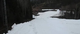 Nu läggs 20 000 kubikmeter sparad snö ut