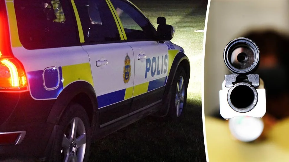 Två tonåringar fick sin luftpistol beslagtagen efter att ha skjutit mot allmän plats.