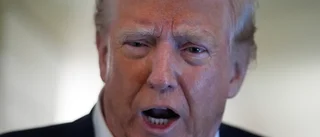 Trump om Zelenskyj och Putin: Oerhört hat