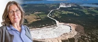 ”Grönt ljus låter konstigt - känns mer som knastertorr vitmossa”