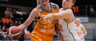 Så var matchen – när säsongen avgjordes för Dolphins