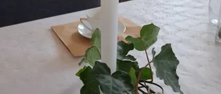 Kaffekalas i Buttle hembygdsgård