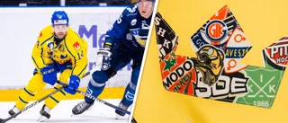 Visby Roma hyllas av Tre Kronor: ”Ett fint initiativ”