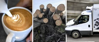 Listan: Flera nya företag startade senaste två veckorna 