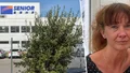 Politikerna hade chansen – men svek igen