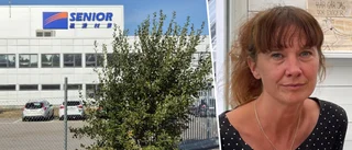 Politikerna hade chansen – men svek igen