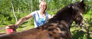 En fjällupplevelse i hästväg