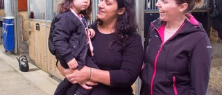 En hästfest för hela familjen