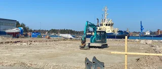 Fyra artiklar som berör miljön