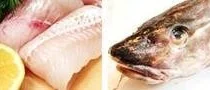 Torsken tillbaka som fina fisken
