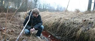 Lossnad renslucka färgade bäck röd