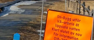 Dåligt med information om rör och rasrisk