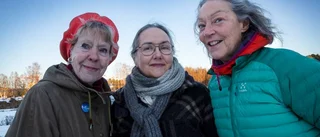 Rosendal kan bli Shangri-La för kollektivboende