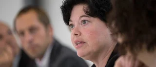 Uppsalapolitiker tar upp el-frågan i riksdagen
