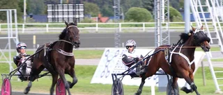 Fyrling till Forss i Boden