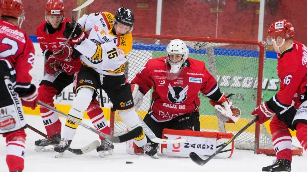 Rödklädda Kalix Hockey har numera 21 spelare under kontrakt.