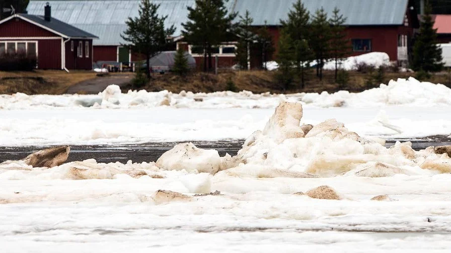 En medelsvår islossning förväntas i Torneälven i år. Bilden är tagen vid Anttis i mitten av maj 2013.