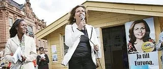 Frågestund med folkpartister