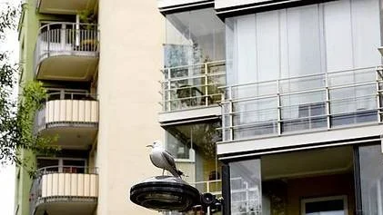 Bostadsrätterna faller mer i Stockholm än i övriga landet.