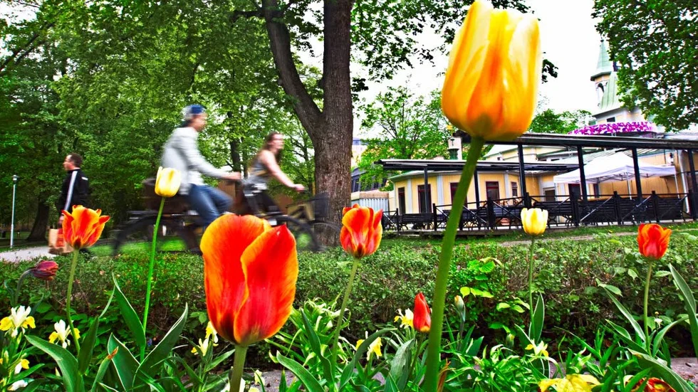 Ny offentlig konst planeras i Stadsträdgården.